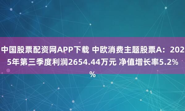 中国股票配资网APP下载 中欧消费主题股票A：2025年第三季度利润2654.44万元 净值增长率5.2%
