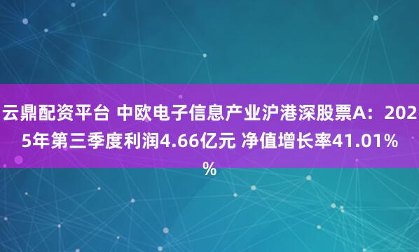 云鼎配资平台 中欧电子信息产业沪港深股票A：2025年第三季度利润4.66亿元 净值增长率41.01%