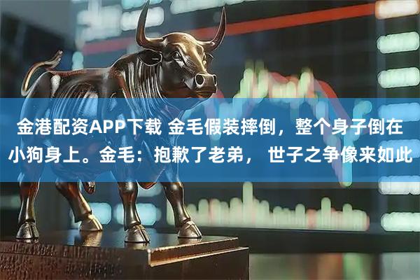 金港配资APP下载 金毛假装摔倒，整个身子倒在小狗身上。金毛：抱歉了老弟， 世子之争像来如此